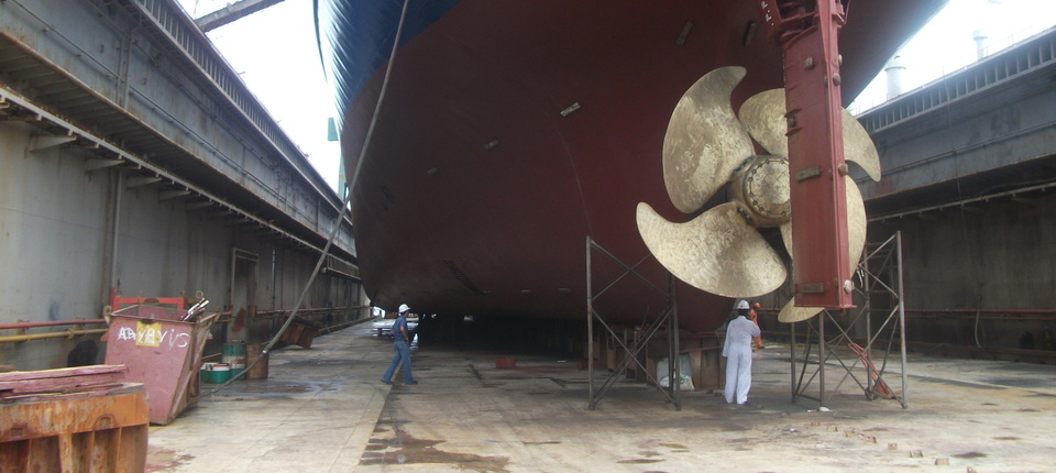 Survey to vessel on dry-dock. | Cargoinspect Inc. 